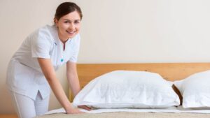 professional home cleaning services 