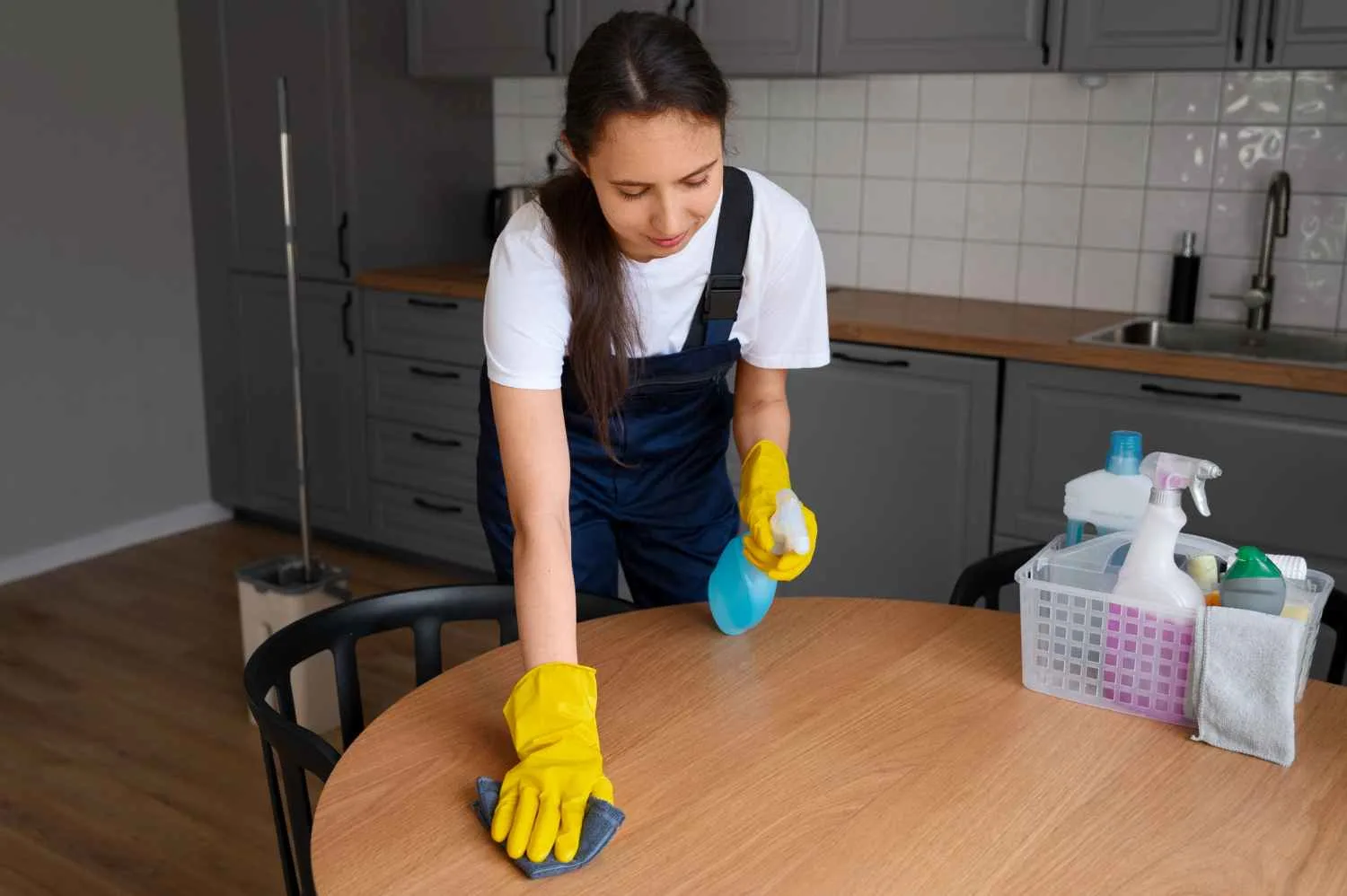House Cleaning Services - Lime Cleaning Service